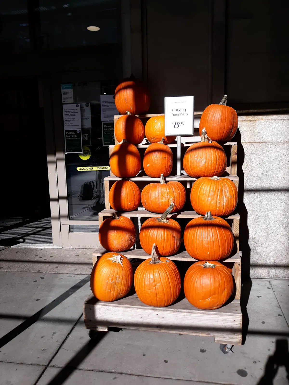 本場アメリカのハロウィンとその由来を探る 現地写真レポート オマツリジャパン あなたと祭りをつなげるメディア