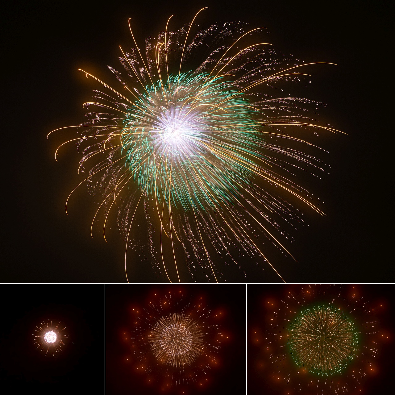 天竺牡丹という玉