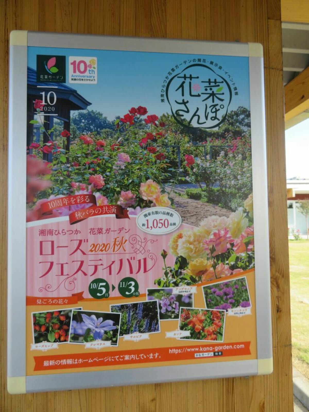 ローズフェスティバル 数え切れない品種のバラが鑑賞できる花菜ガーデン オマツリジャパン あなたと祭りをつなげるメディア