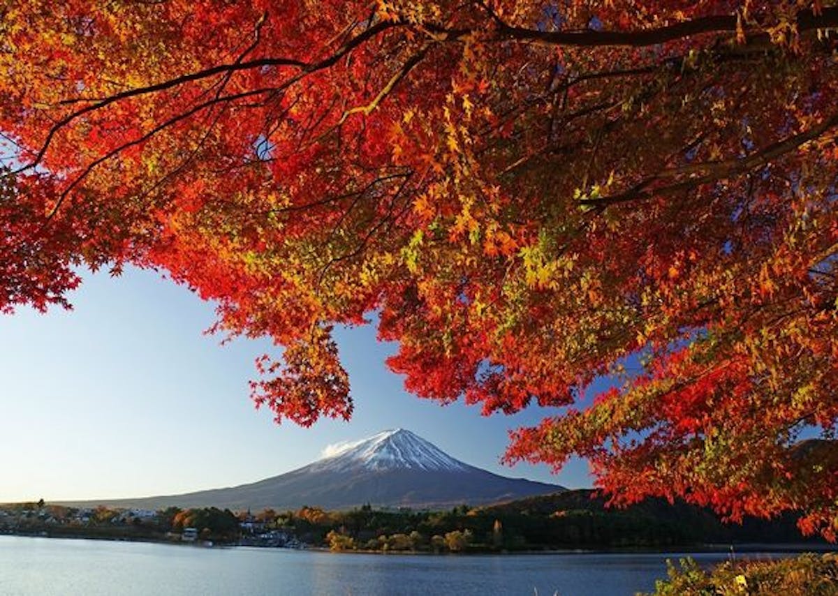 富士河口湖紅葉まつり　富士山と紅葉