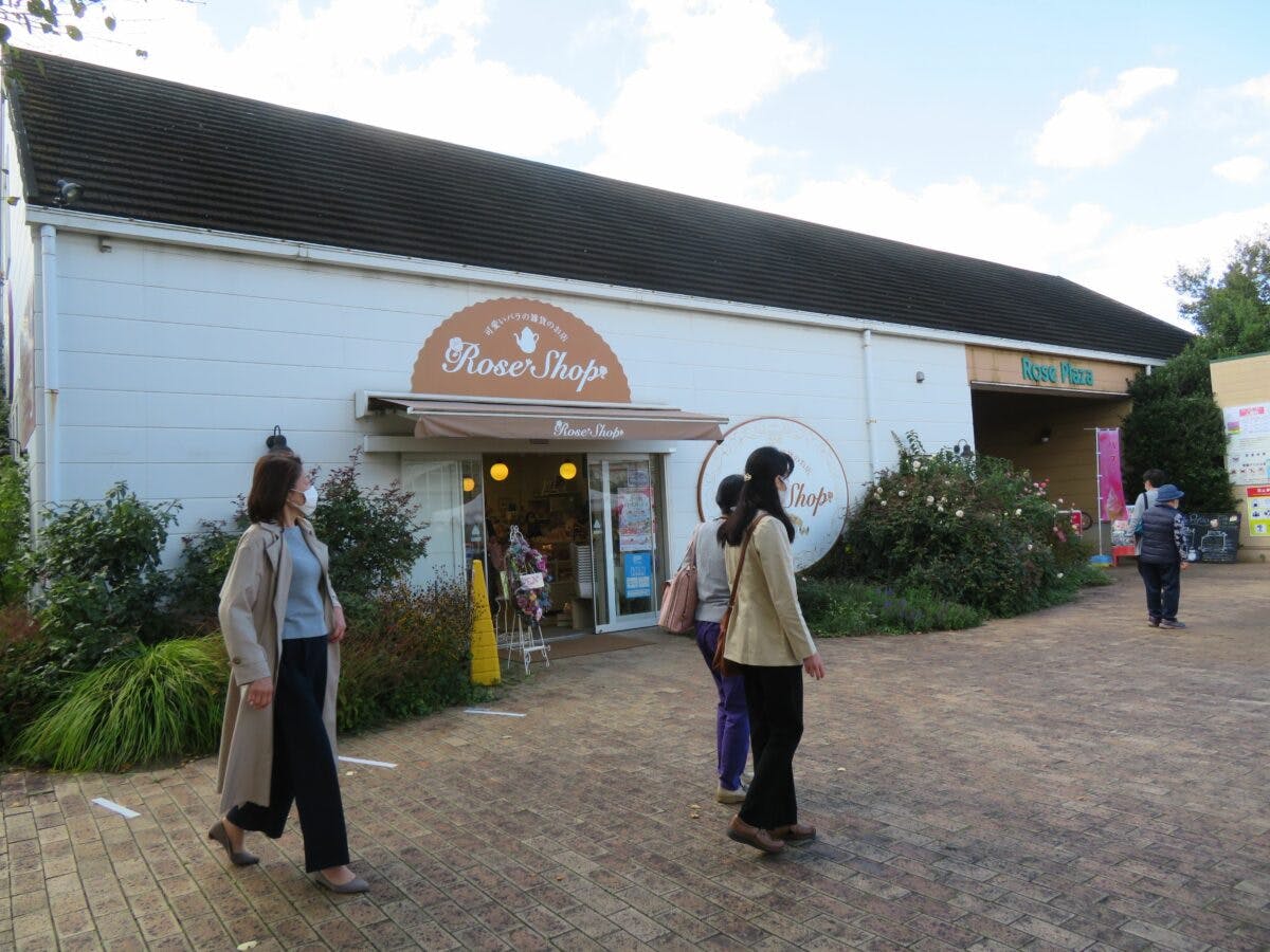 オータムローズパーティー ディズニーやベルばらが演出する京成バラ園 オマツリジャパン あなたと祭りをつなげるメディア オータムローズパーティー ディズニーやベルばらが演出する京成バラ園 オマツリジャパン あなたと祭りをつなげるメディア