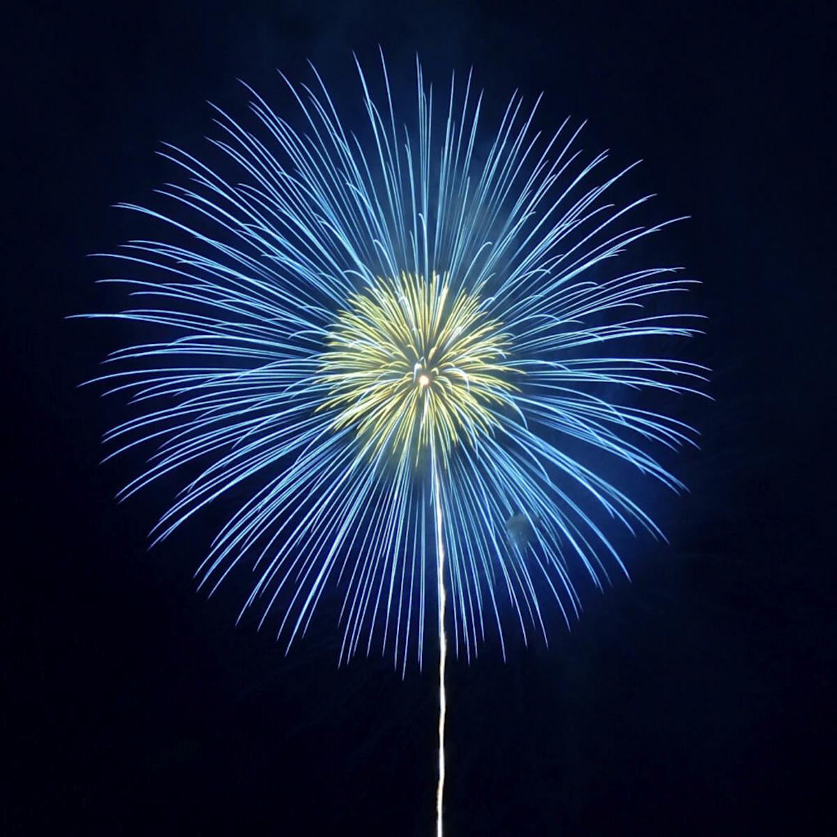 三陸花火大会 コロナで沈んだ世界を照らす 復興と歓喜の花火 オマツリジャパン 毎日 祭日 三陸花火大会 コロナで沈んだ世界を照らす 復興と歓喜の花火 オマツリジャパン 毎日 祭日