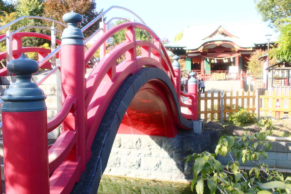 亀戸天神菊まつりで秋を感じよう 晴天の下 色鮮やかな菊が見られるお祭り オマツリジャパン 毎日 祭日 亀戸天神菊まつりで秋を感じよう 晴天の下 色鮮やかな菊が見られるお祭り オマツリジャパン 毎日 祭日