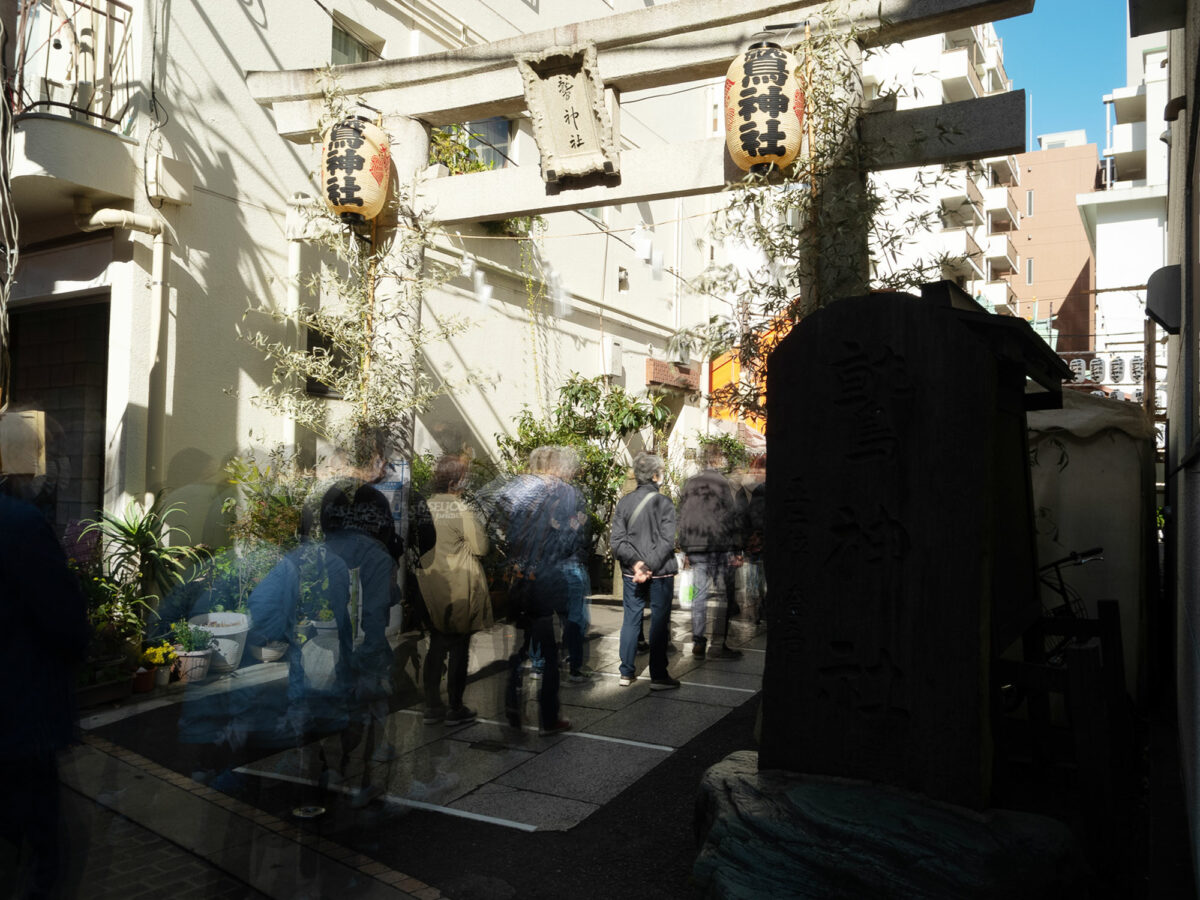 大森鷲神社「二の酉」速報レポート（鳥居）