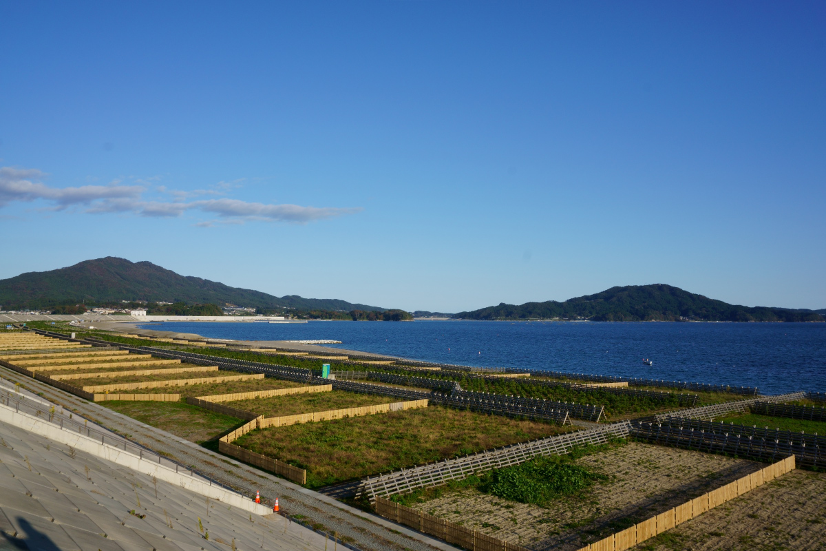 陸前高田湾の一望