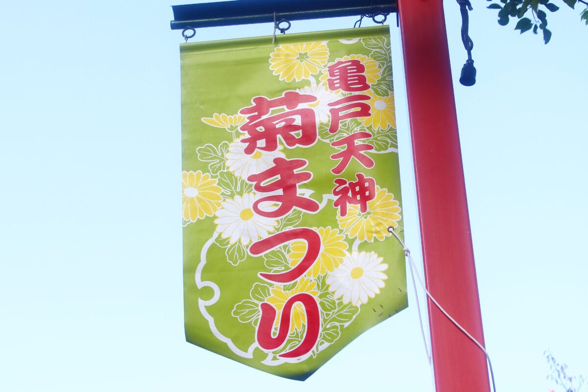 亀戸天神菊まつりで秋を感じよう 晴天の下 色鮮やかな菊が見られるお祭り オマツリジャパン 毎日 祭日 亀戸天神菊まつりで秋を感じよう 晴天の下 色鮮やかな菊が見られるお祭り オマツリジャパン 毎日 祭日