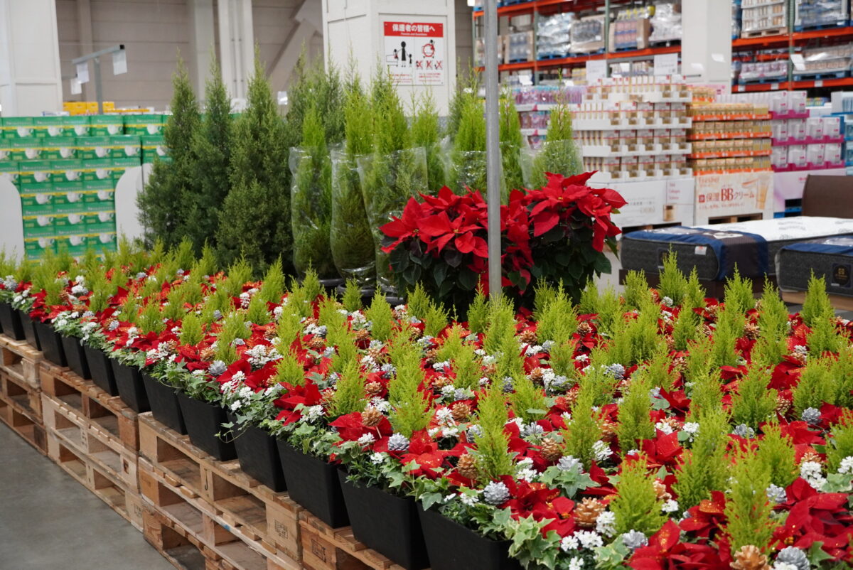 コストコの店内