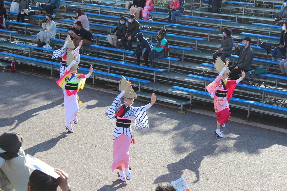 徳島県阿波踊り協会の女踊りによる流し踊り