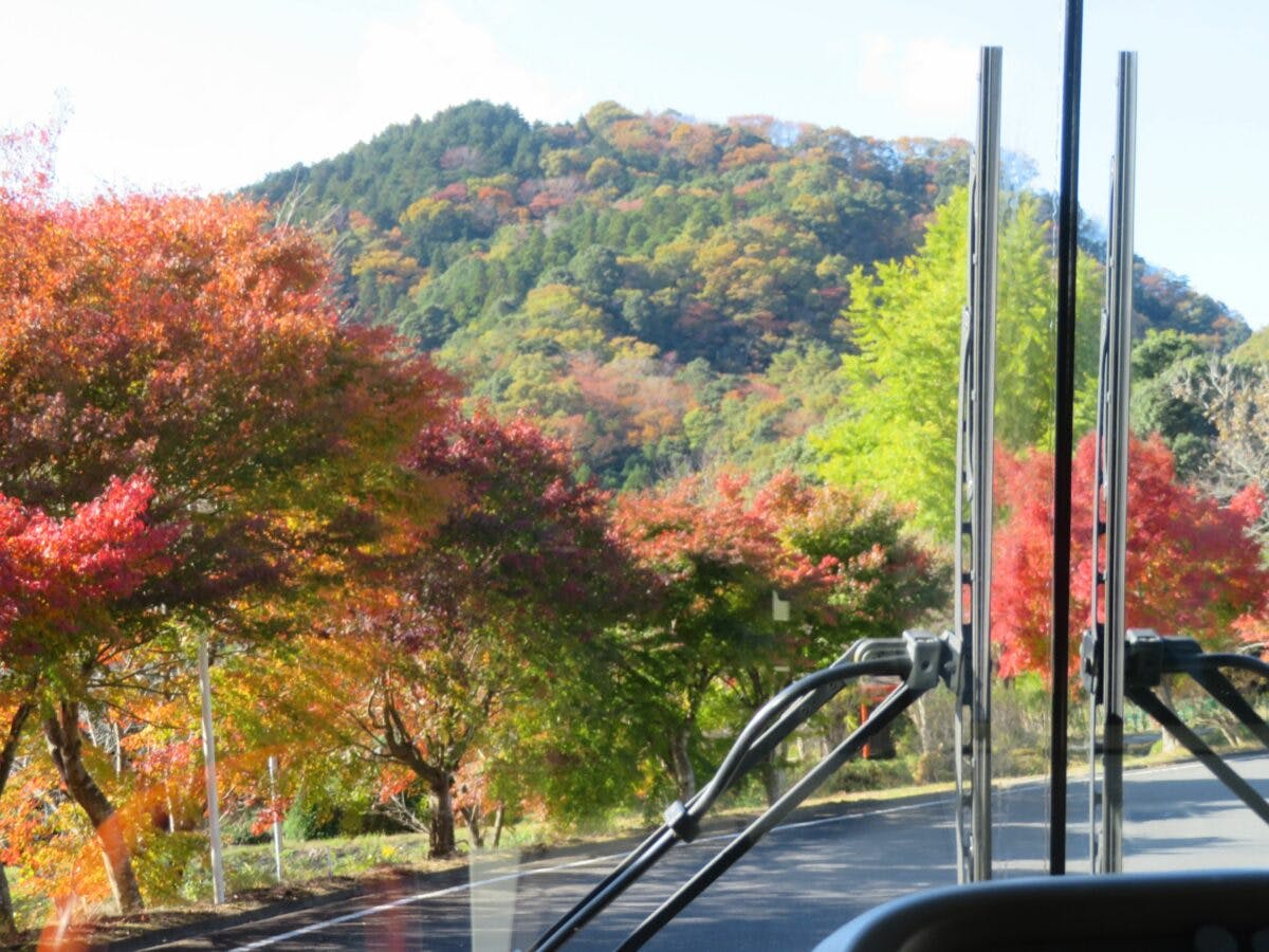 竜神峡紅葉まつり 季節の彩りで包まれるv字渓谷を繋ぐ本州一の大吊橋 オマツリジャパン 毎日 祭日