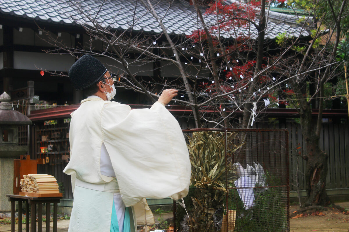 新熊野神社