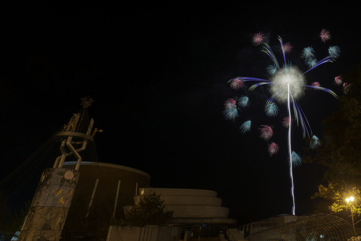 鹿児島県／（有）六葉煙火   紫陽花