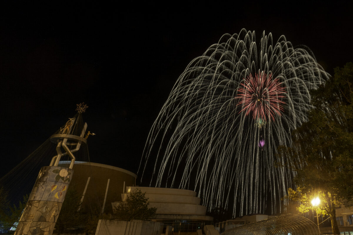 （有）津山花火   紅芯錦冠霞