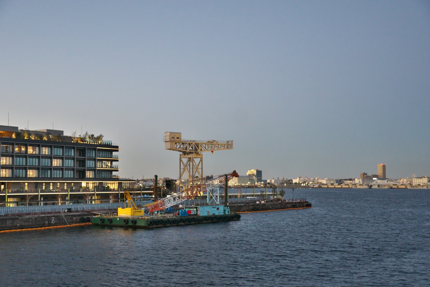 ハンマーヘッド