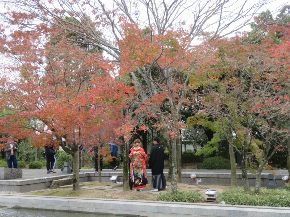 【松山城二之丸史跡庭園の紅葉】数多くのカップルが記念撮影する恋人の聖地