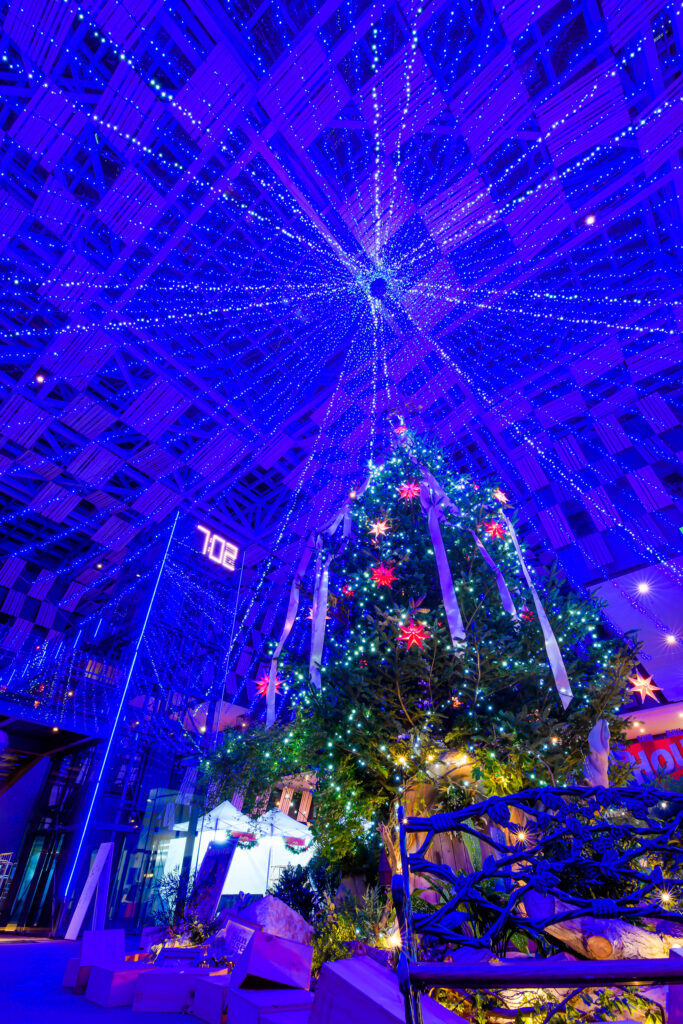 長岡駅近く、市役所と賑わいスペースが合体したアオーレ長岡。特大のクリスマスツリー。