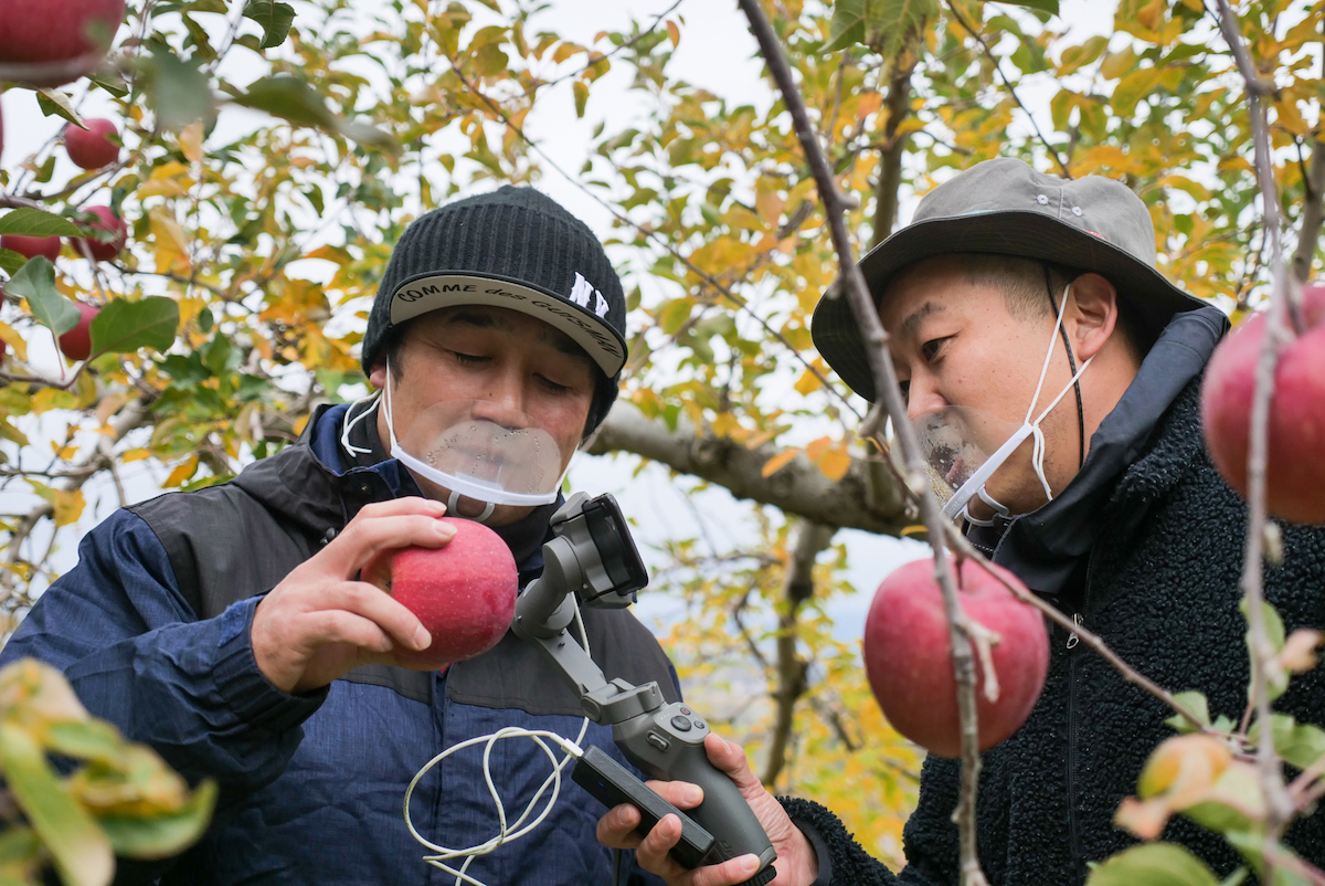 スーパーでの美味しいりんごの見分け方を話す今井さん（左）