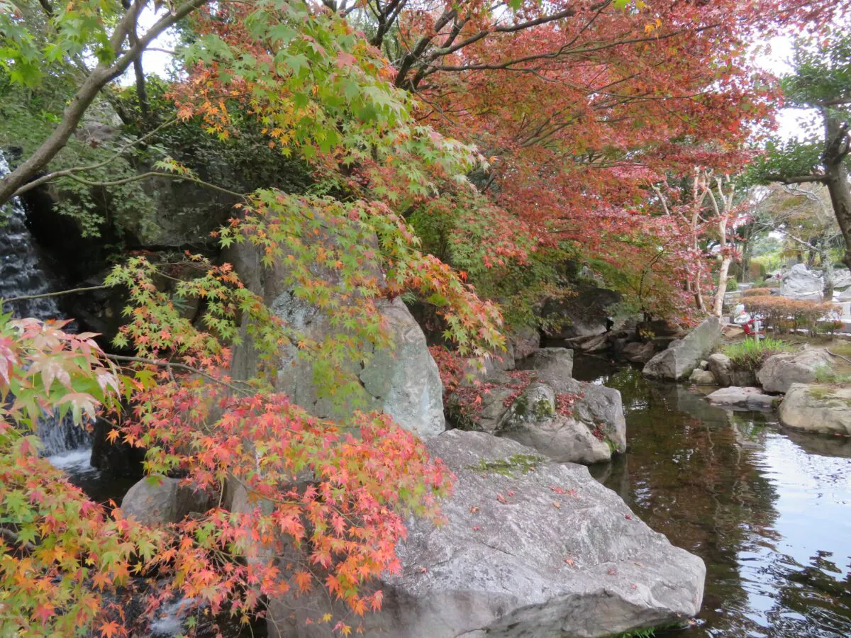 松山城二之丸史跡庭園の紅葉 数多くのカップルが記念撮影する恋人の聖地 オマツリジャパン あなたと祭りをつなげるメディア