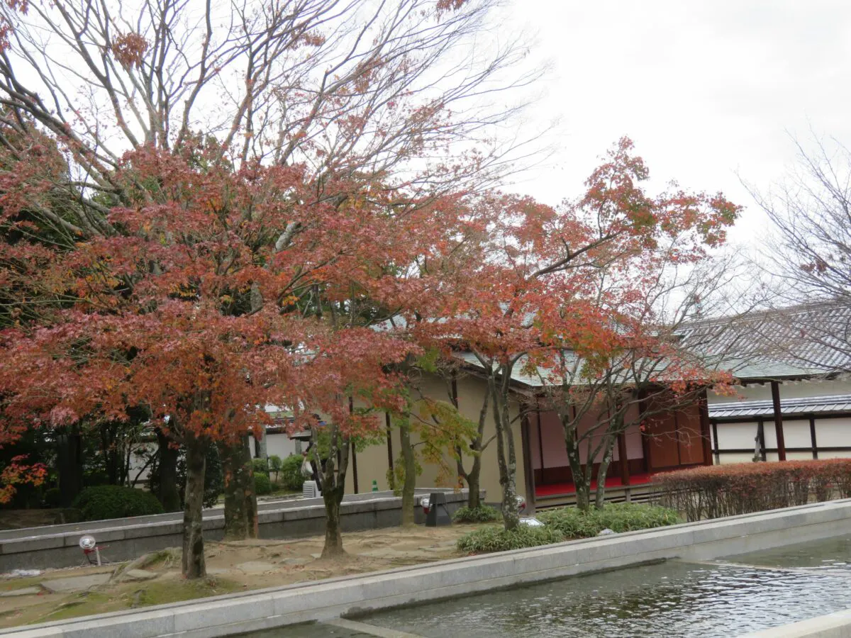 松山城二之丸史跡庭園の紅葉 数多くのカップルが記念撮影する恋人の聖地 オマツリジャパン あなたと祭りをつなげるメディア