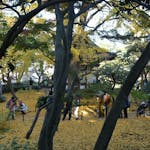 【紅葉の古建築公開】港町横浜で歴史と伝統を漂わせる三溪園を包む秋の彩り