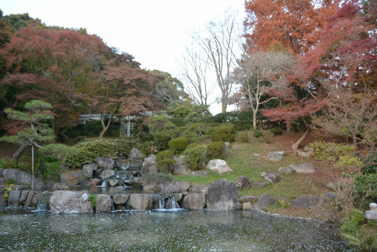 【須磨離宮公園の紅葉】港町神戸の西部で秋の彩りに包まれる植物園