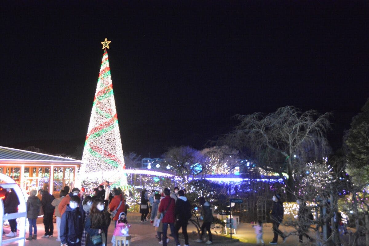 あしかがフラワーパーク光の花の庭 日本三大イルミネーションの光の演出 オマツリジャパン あなたと祭りをつなげるメディア あしかがフラワーパーク光の花の庭 日本三大イルミネーションの光の演出 オマツリジャパン あなたと祭りをつなげるメディア