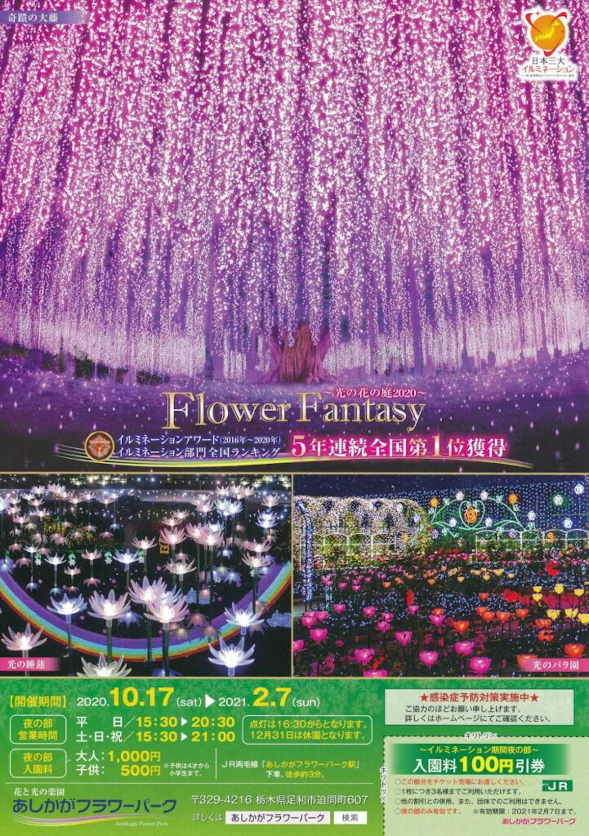 あしかがフラワーパーク光の花の庭 日本三大イルミネーションの光の演出 オマツリジャパン あなたと祭りをつなげるメディア