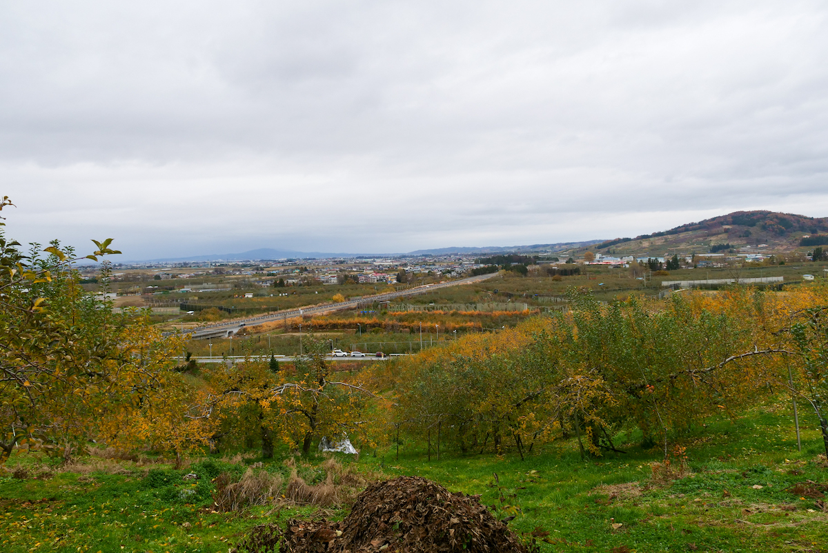 恵まれた肥沃な土壌が高品質のりんごを生み出す