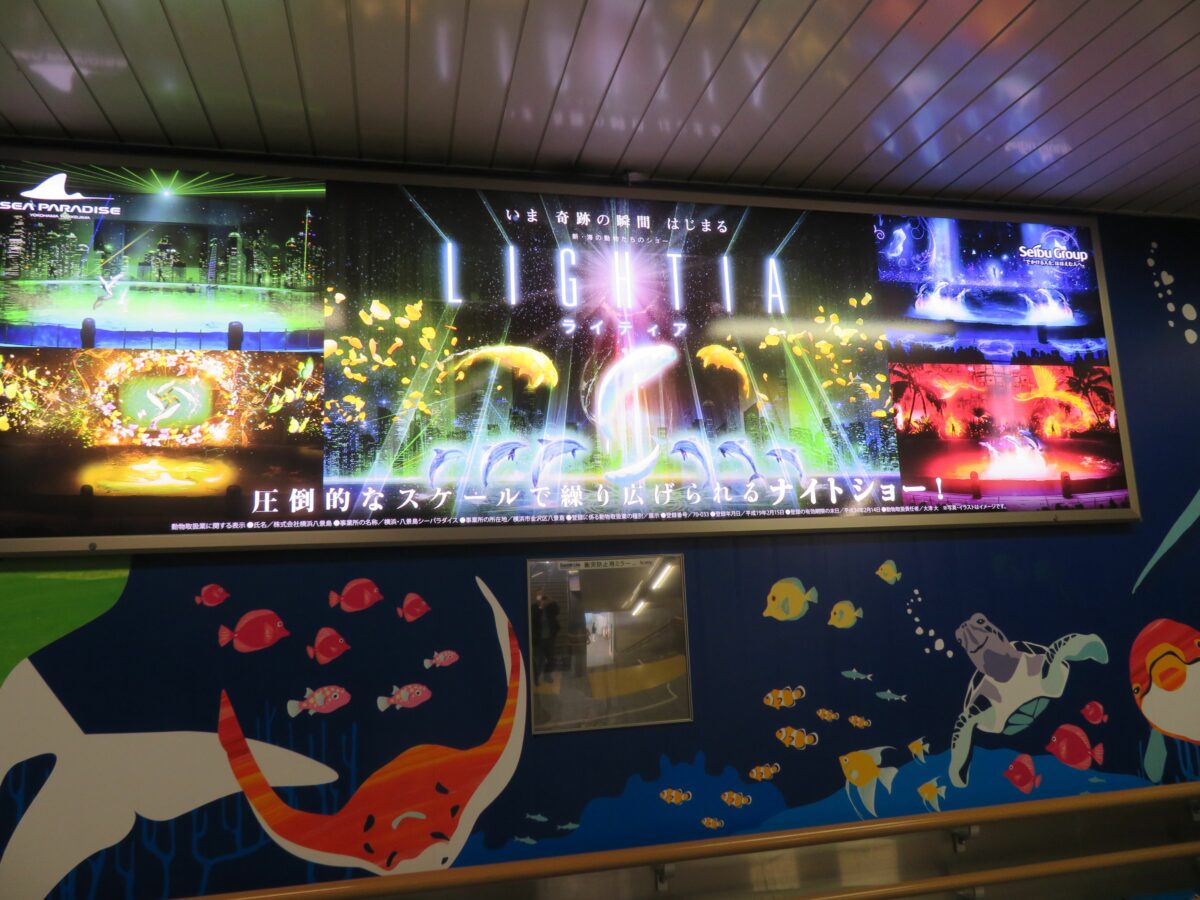 八景島シーパラダイス・ミスティカルアイランド】光の演出に加わる ...