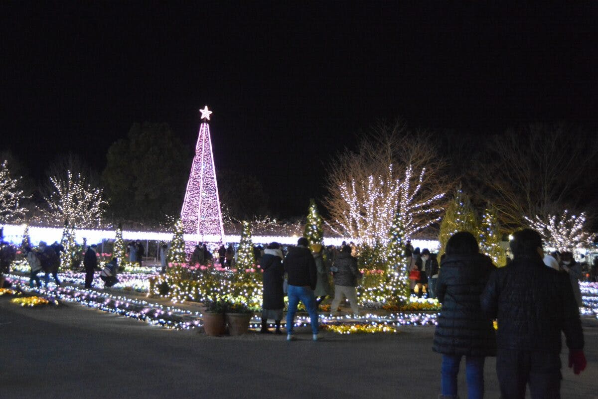 あしかがフラワーパーク光の花の庭 日本三大イルミネーションの光の演出 オマツリジャパン あなたと祭りをつなげるメディア あしかがフラワーパーク光の花の庭 日本三大イルミネーションの光の演出 オマツリジャパン あなたと祭りをつなげるメディア