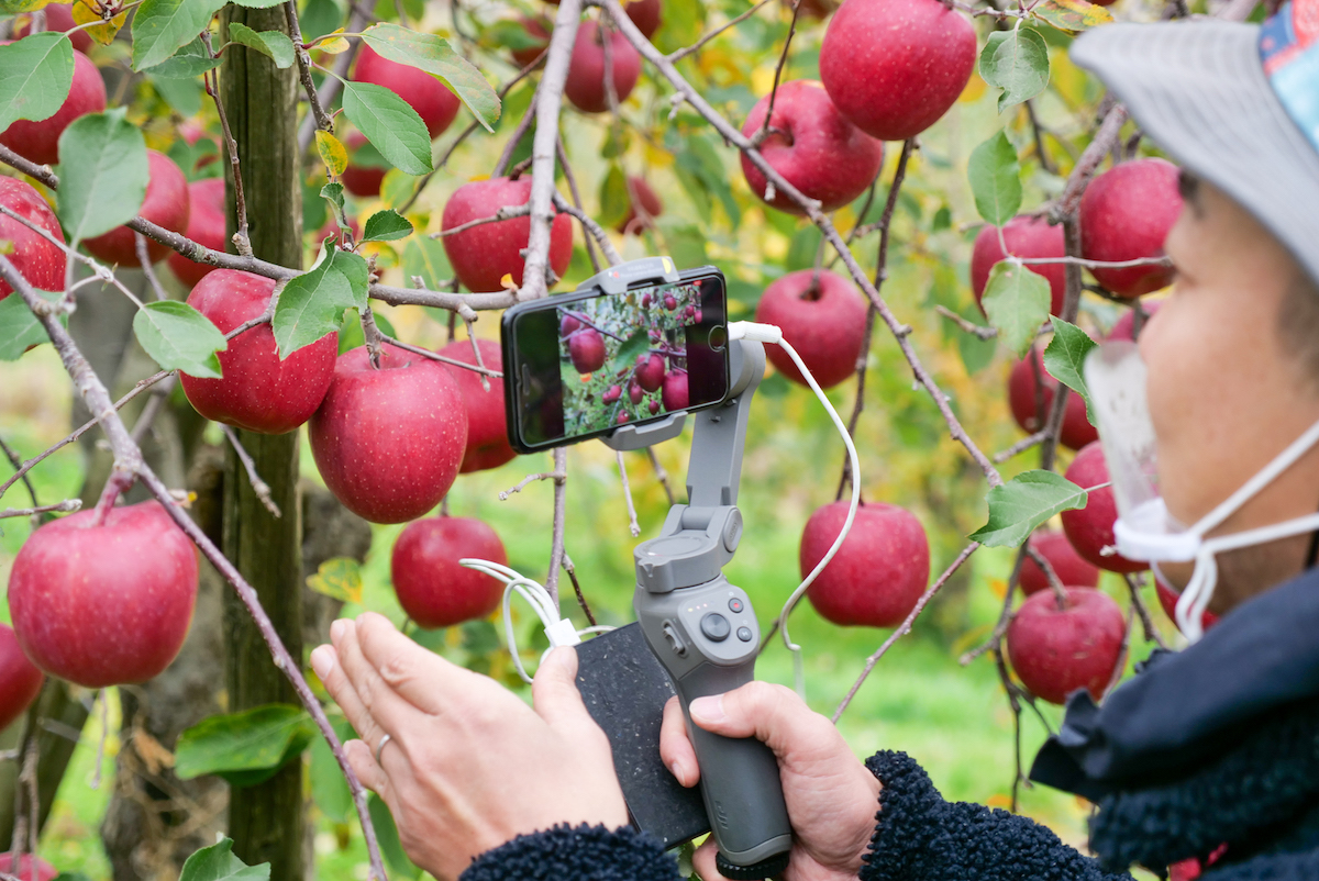 まずはアップで形や色味をしっかりチェック