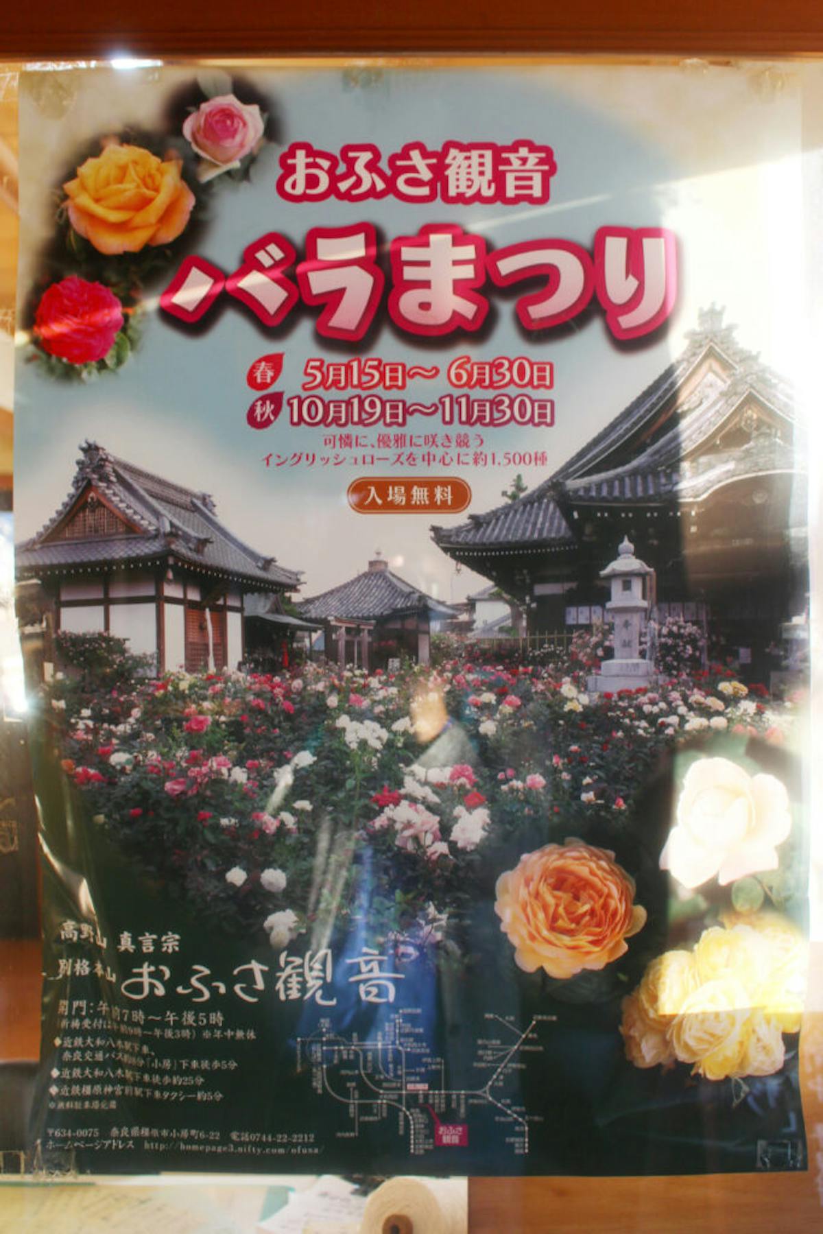 おふさ観音秋のバラまつり カラフルなバラが咲き 香りに包まれる境内は必見 オマツリジャパン 毎日 祭日 おふさ観音秋のバラまつり カラフルなバラが咲き 香りに包まれる境内は必見 オマツリジャパン 毎日 祭日