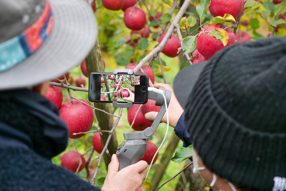 もいだ瞬間は参加者から拍手が