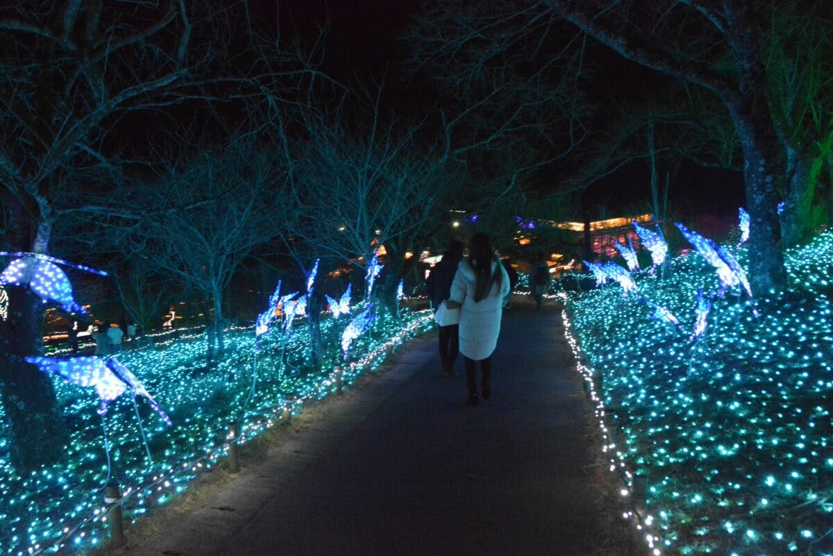 Gecezp1v2k66lm Gecezp1v2k66lm