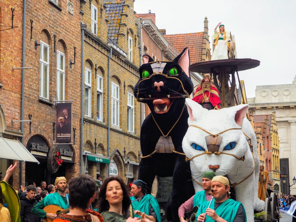 イーペル猫祭り カッテンストゥッツ 特集 21年は開催年 オマツリジャパン あなたと祭りをつなげるメディア