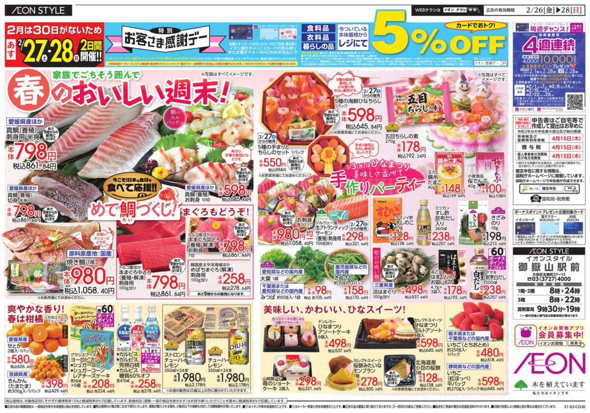 イオンのチラシ