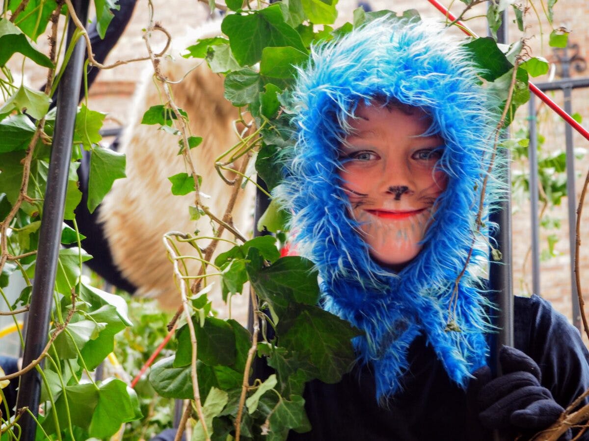 イーペル猫祭り カッテンストゥッツ 特集 21年は開催年 オマツリジャパン あなたと祭りをつなげるメディア イーペル猫祭り カッテンストゥッツ 特集 21年は開催年 オマツリジャパン あなたと祭りをつなげるメディア