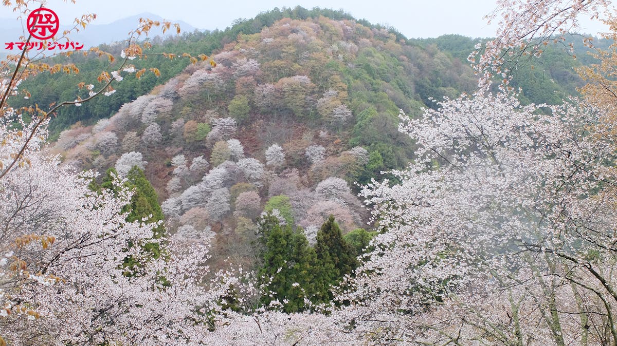 鬼フェス 金峯山寺 鬼火の祭典 キャンペーン In 吉野山 オマツリジャパン 毎日 祭日