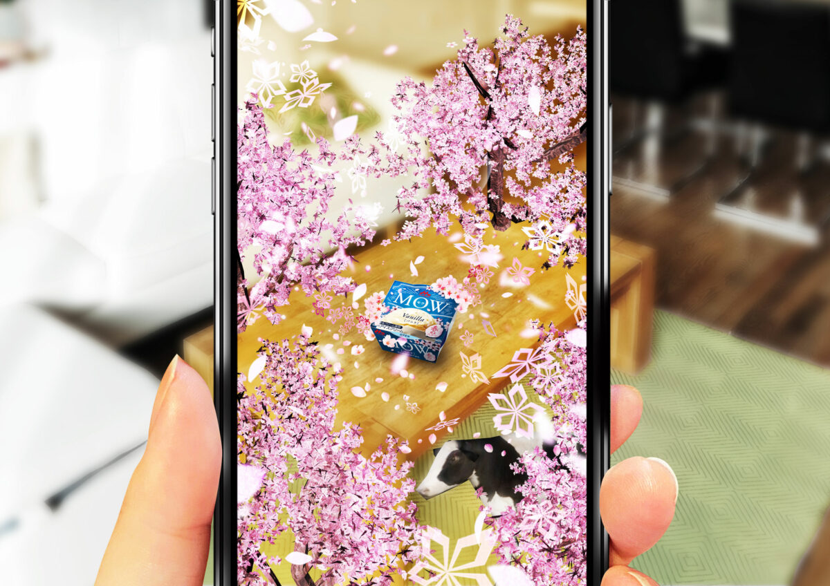 「ネオ花見 -さくら咲くAR-」の空間AR