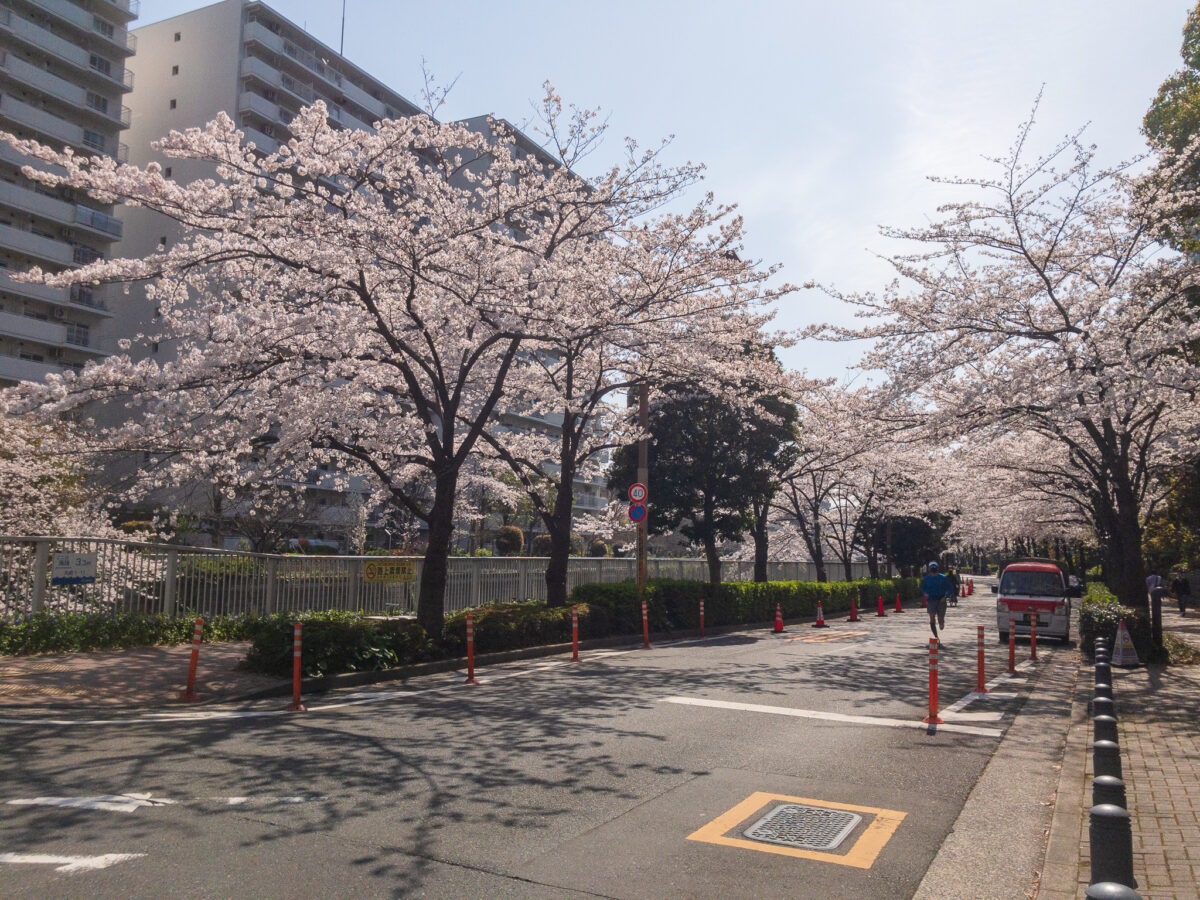 目黒川(五反田駅〜旧東海道・品川橋)