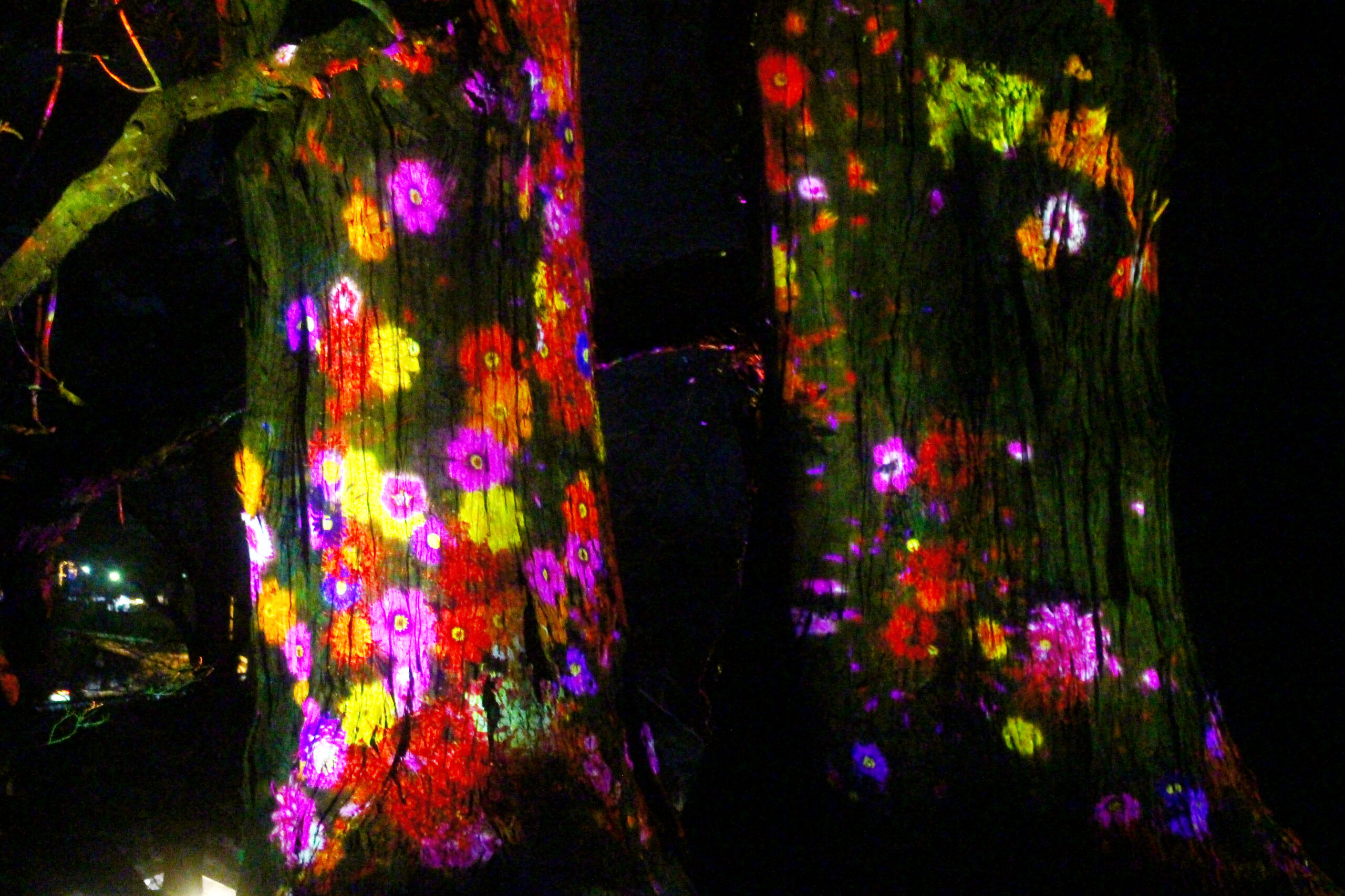 水戸の梅まつり