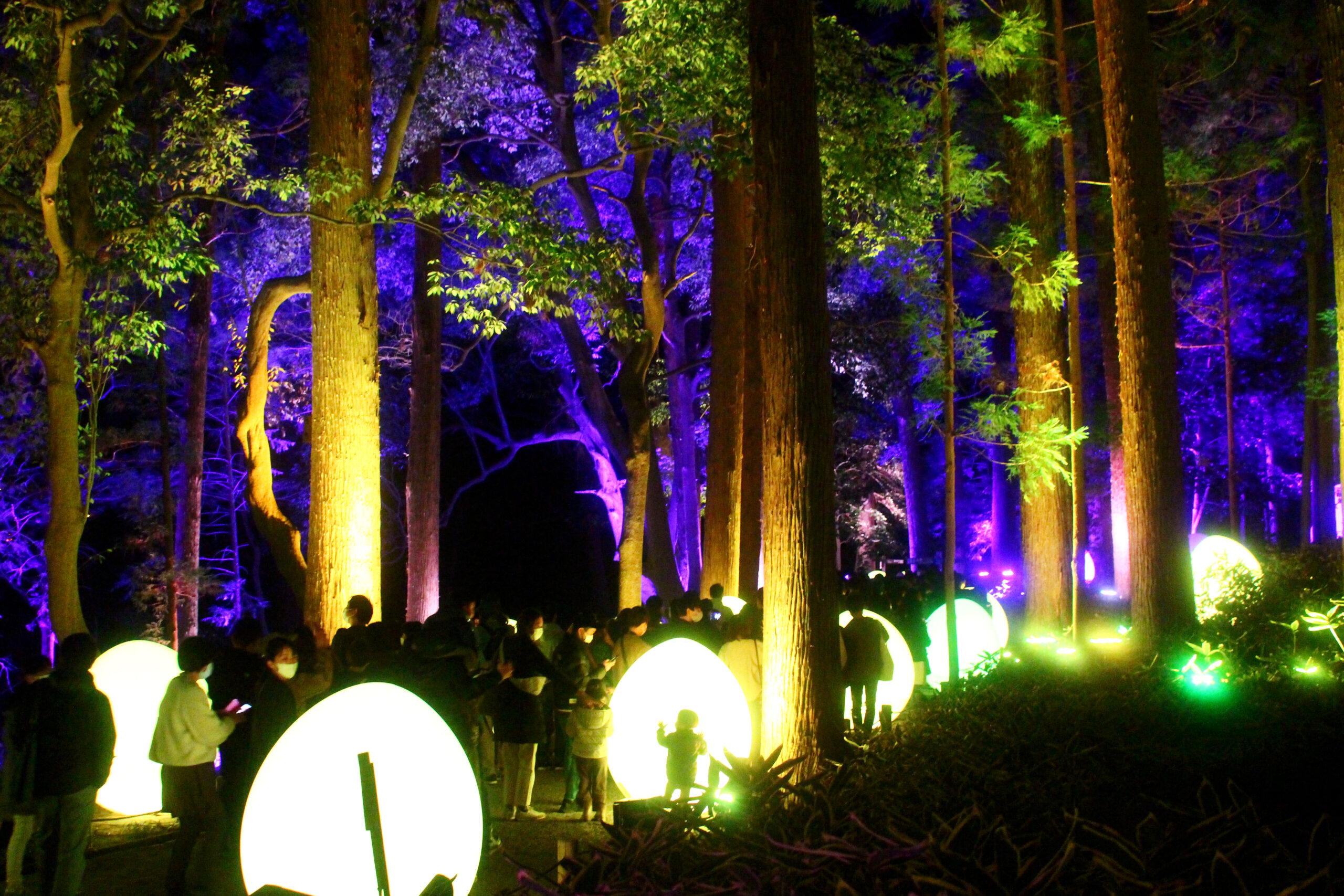 水戸の梅まつり