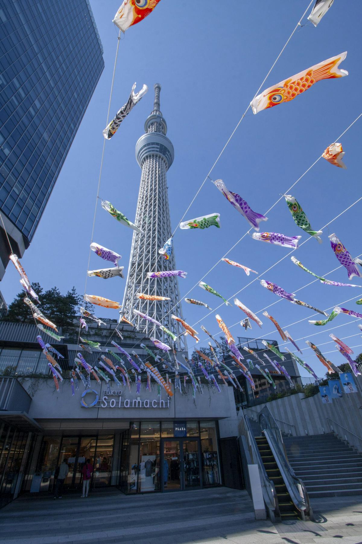 東京スカイツリータウンのgw 初夏イベント 約1 000匹のこいのぼりの群泳が圧巻 オマツリジャパン 毎日 祭日 東京スカイツリータウンのgw 初夏イベント 約1 000匹のこいのぼりの群泳が圧巻 オマツリジャパン 毎日 祭日