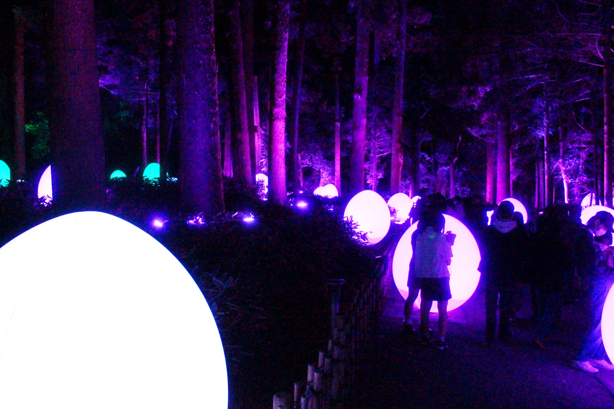 水戸の梅まつり