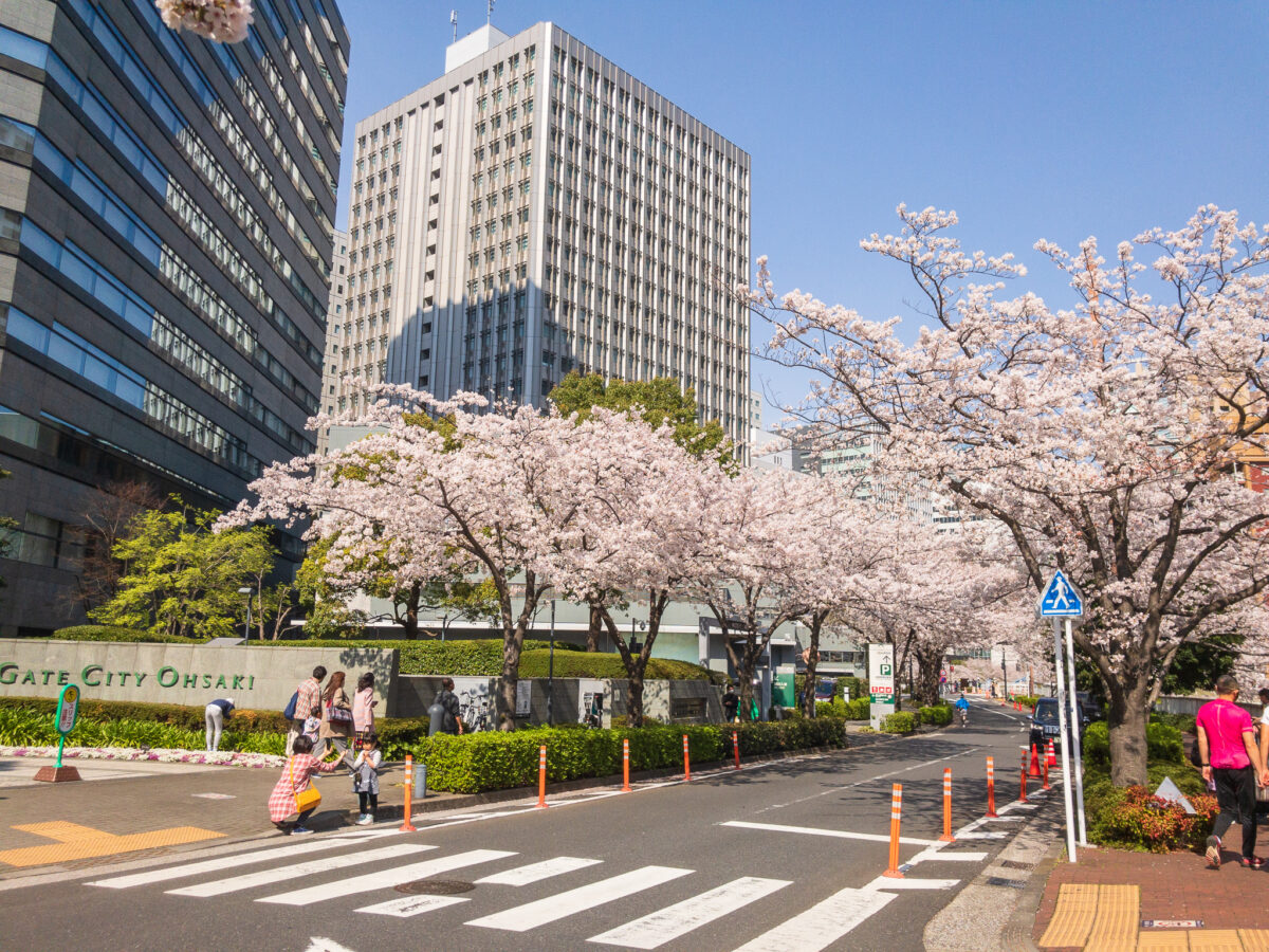 目黒川(五反田駅〜旧東海道・品川橋)