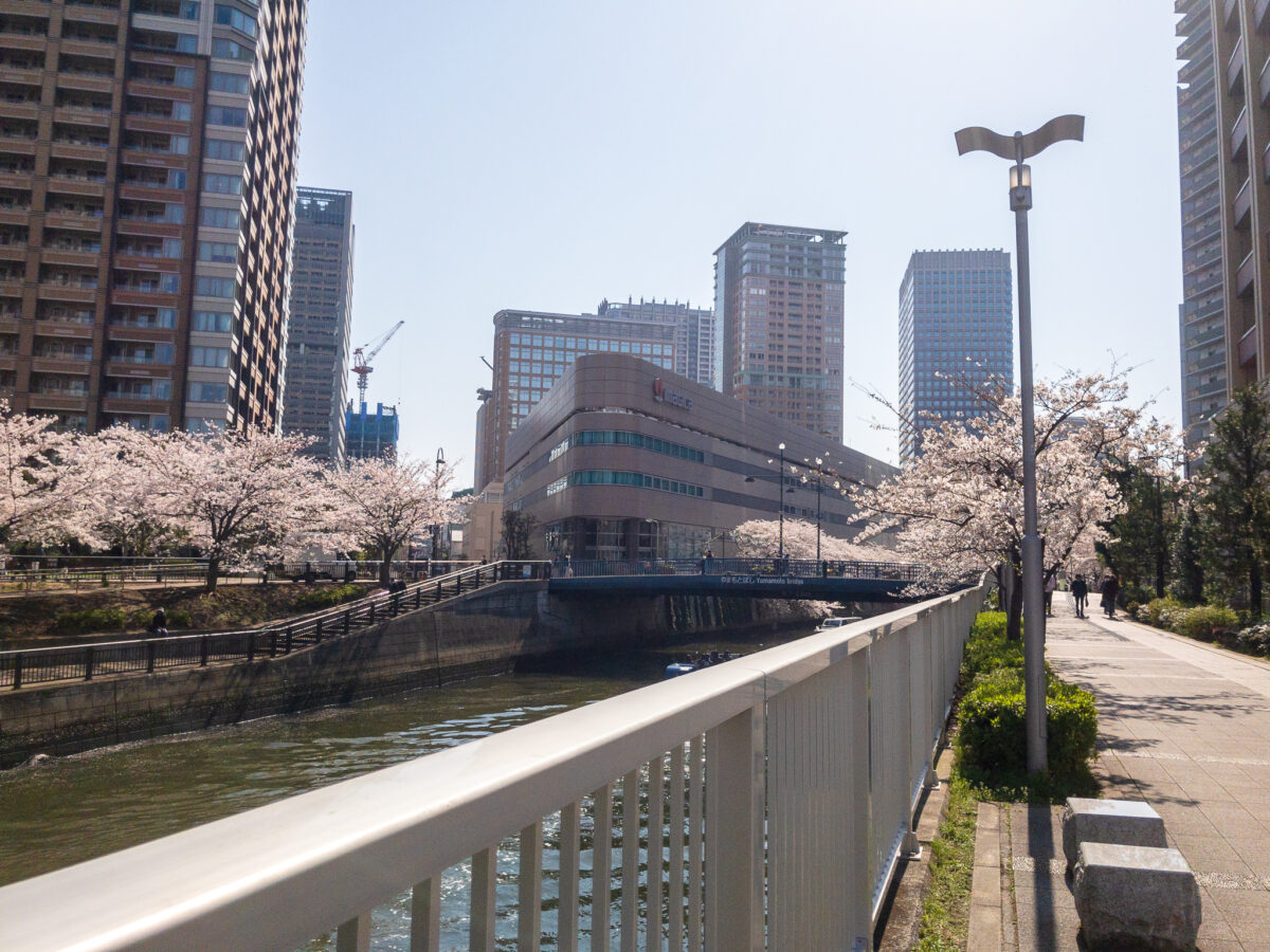 目黒川(五反田駅〜旧東海道・品川橋)