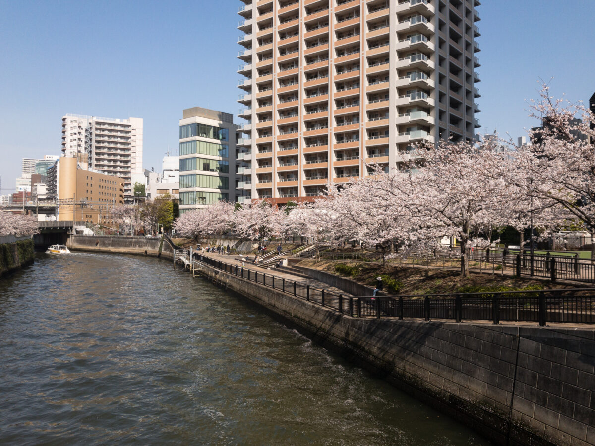 目黒川(五反田駅〜旧東海道・品川橋)