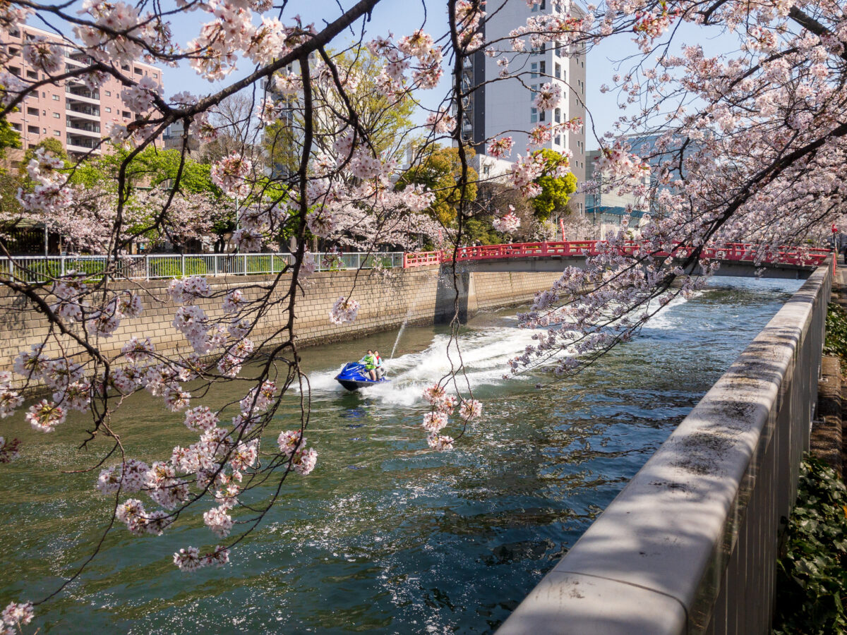 目黒川(五反田駅〜旧東海道・品川橋)