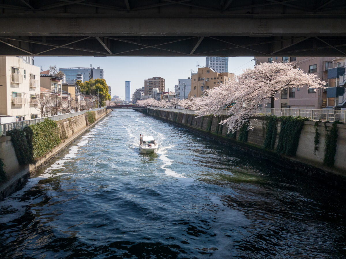 目黒川(五反田駅〜旧東海道・品川橋)