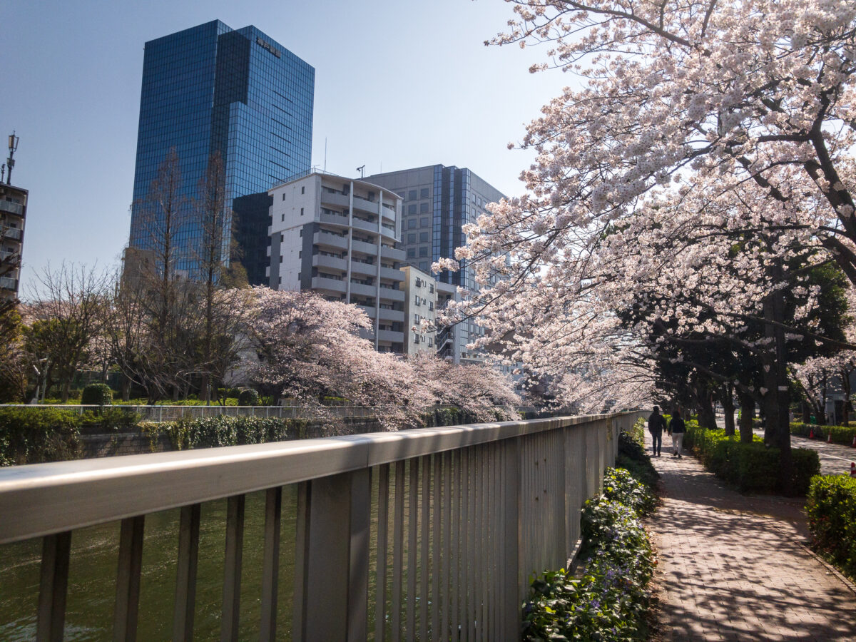 目黒川(五反田駅〜旧東海道・品川橋)