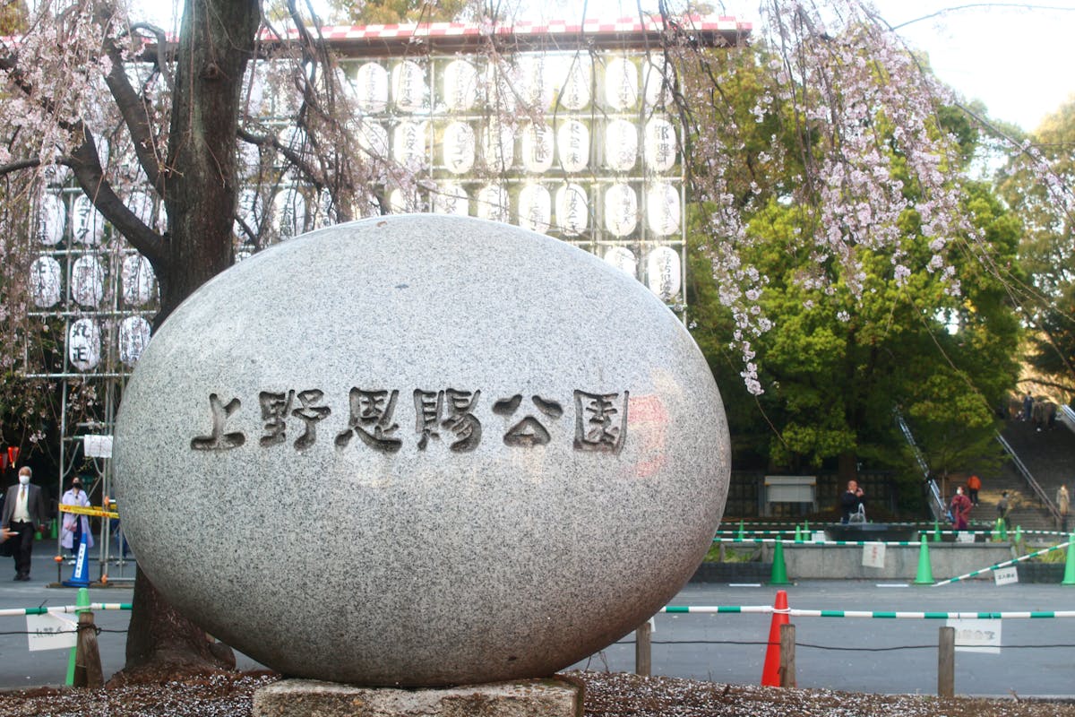 上野恩賜公園の桜 今年は歩いて見よう 園内の桜見どころスポットも紹介 オマツリジャパン 毎日 祭日 上野恩賜公園の桜 今年は歩いて見よう 園内の桜見どころスポットも紹介 オマツリジャパン 毎日 祭日